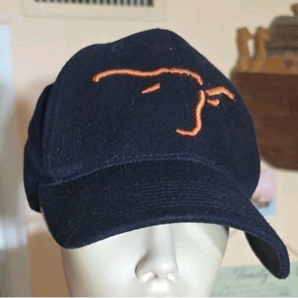 Nike Team Texas Longhorns Black Hat Cap Flex Fit SP02 DDA Unisex‎